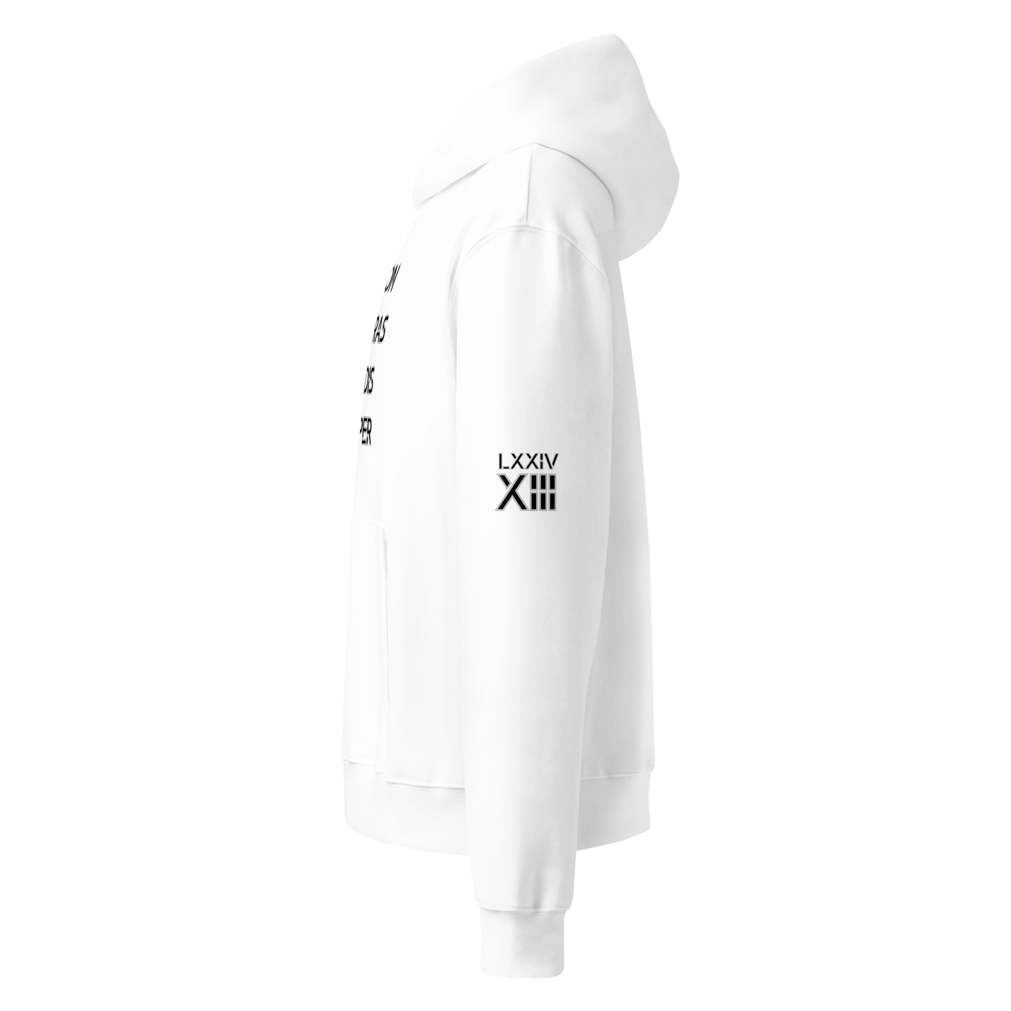 oversized heavyweight hoodie front latin 13