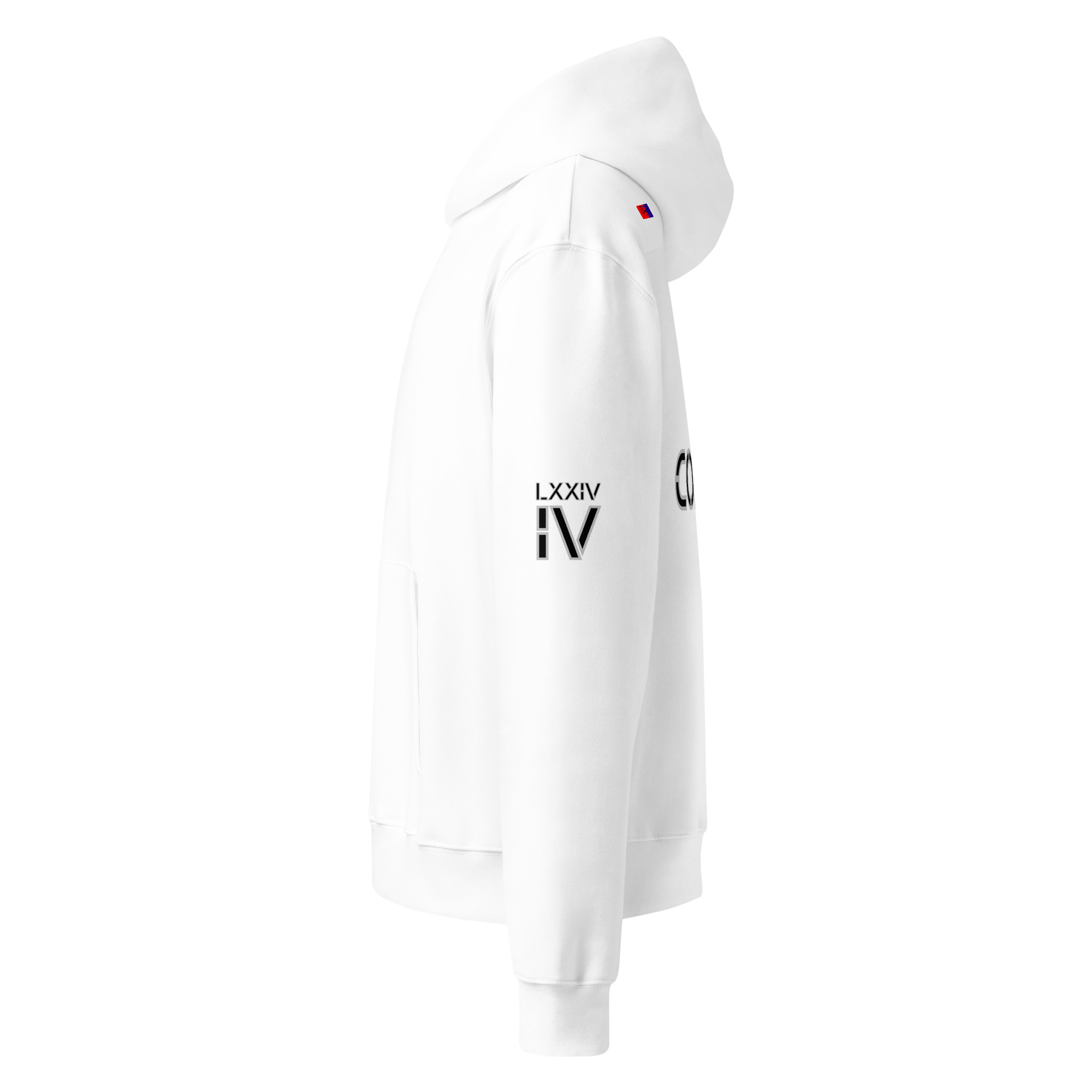 oversized heavyweight hoodie back latin 4