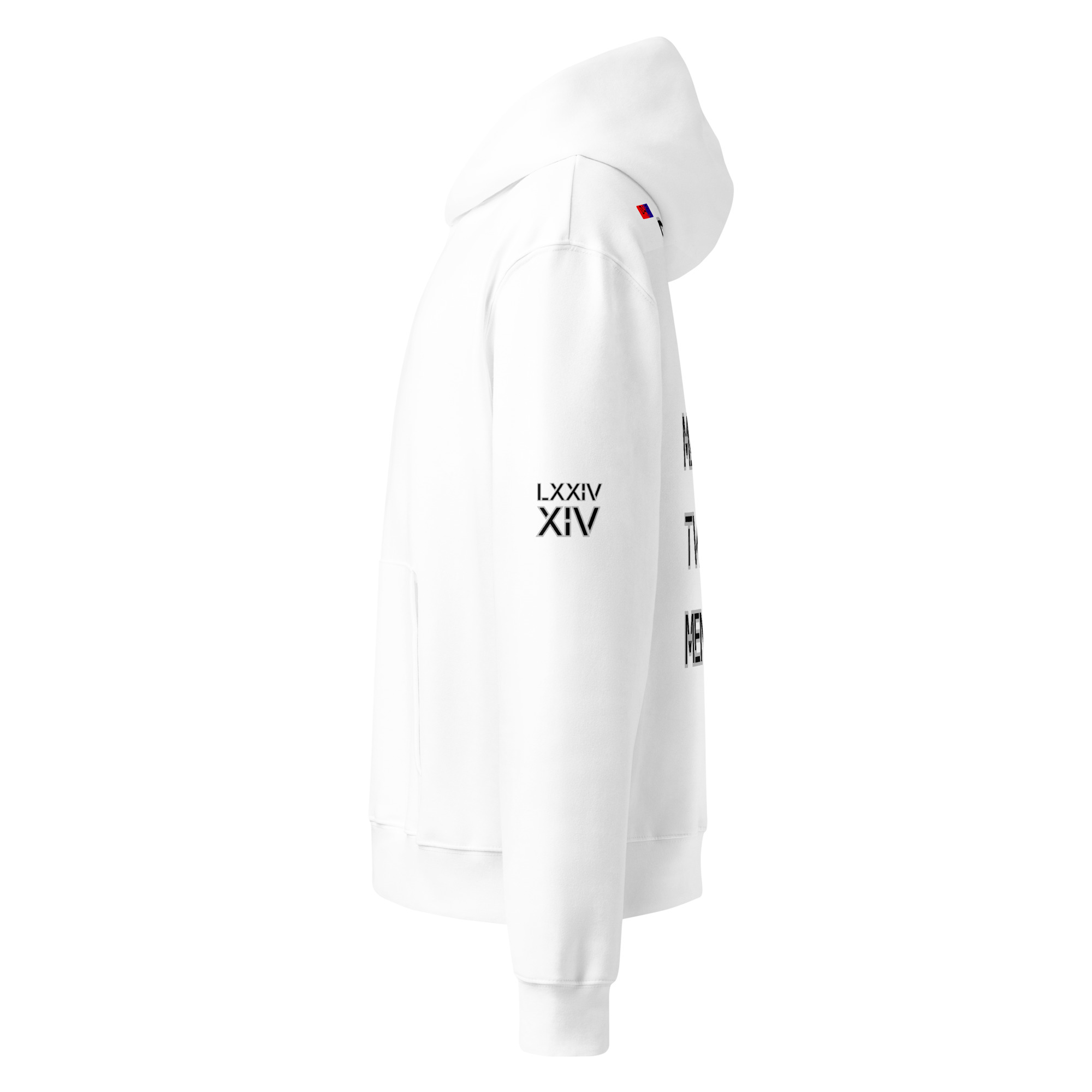 oversized heavyweight hoodie back latin 14