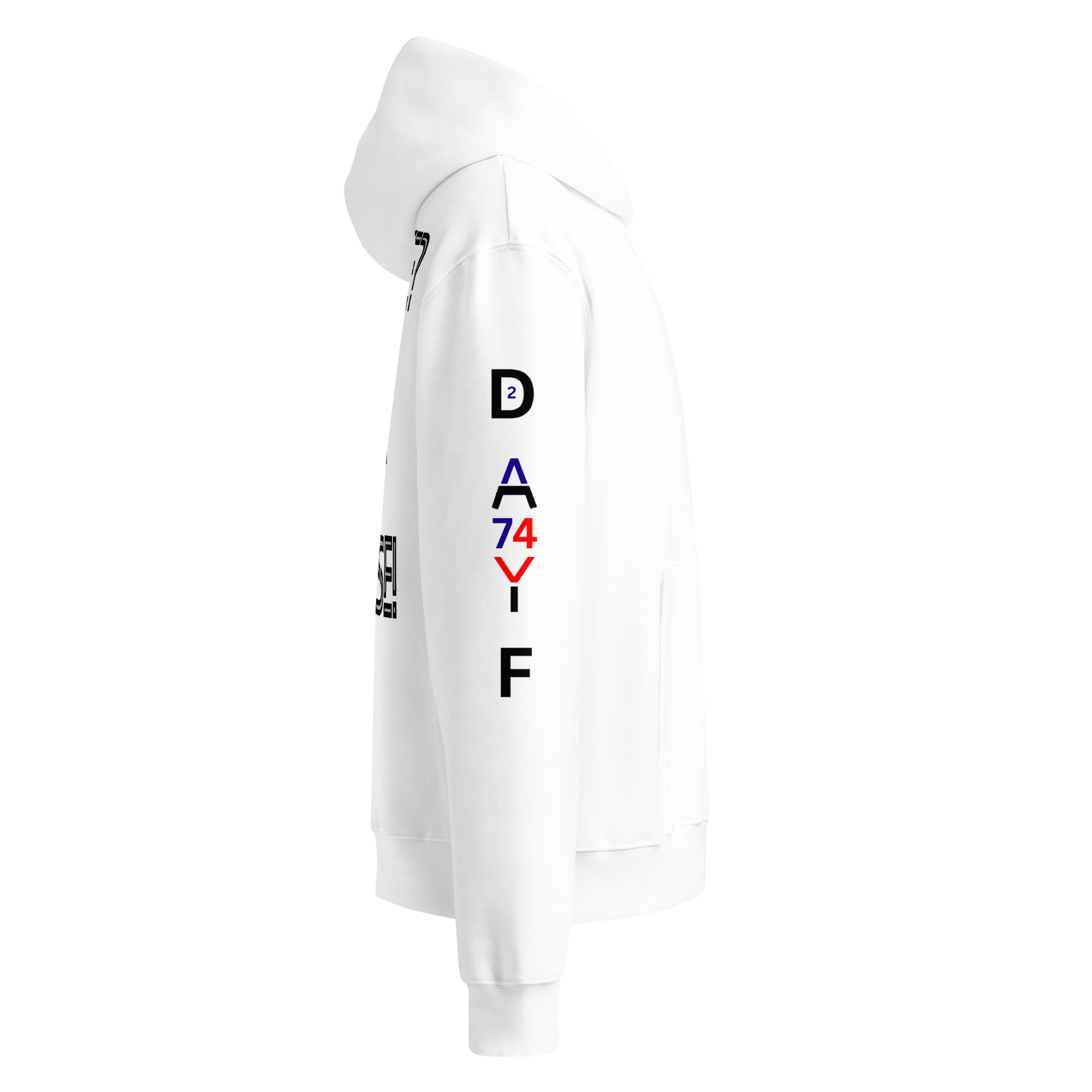 oversized heavyweight hoodie back 2