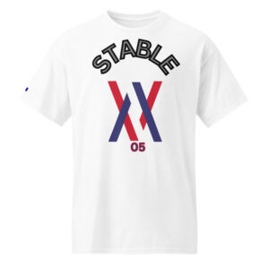 T shirt Dayf DryBlend No 05 Stable impression devant unisex