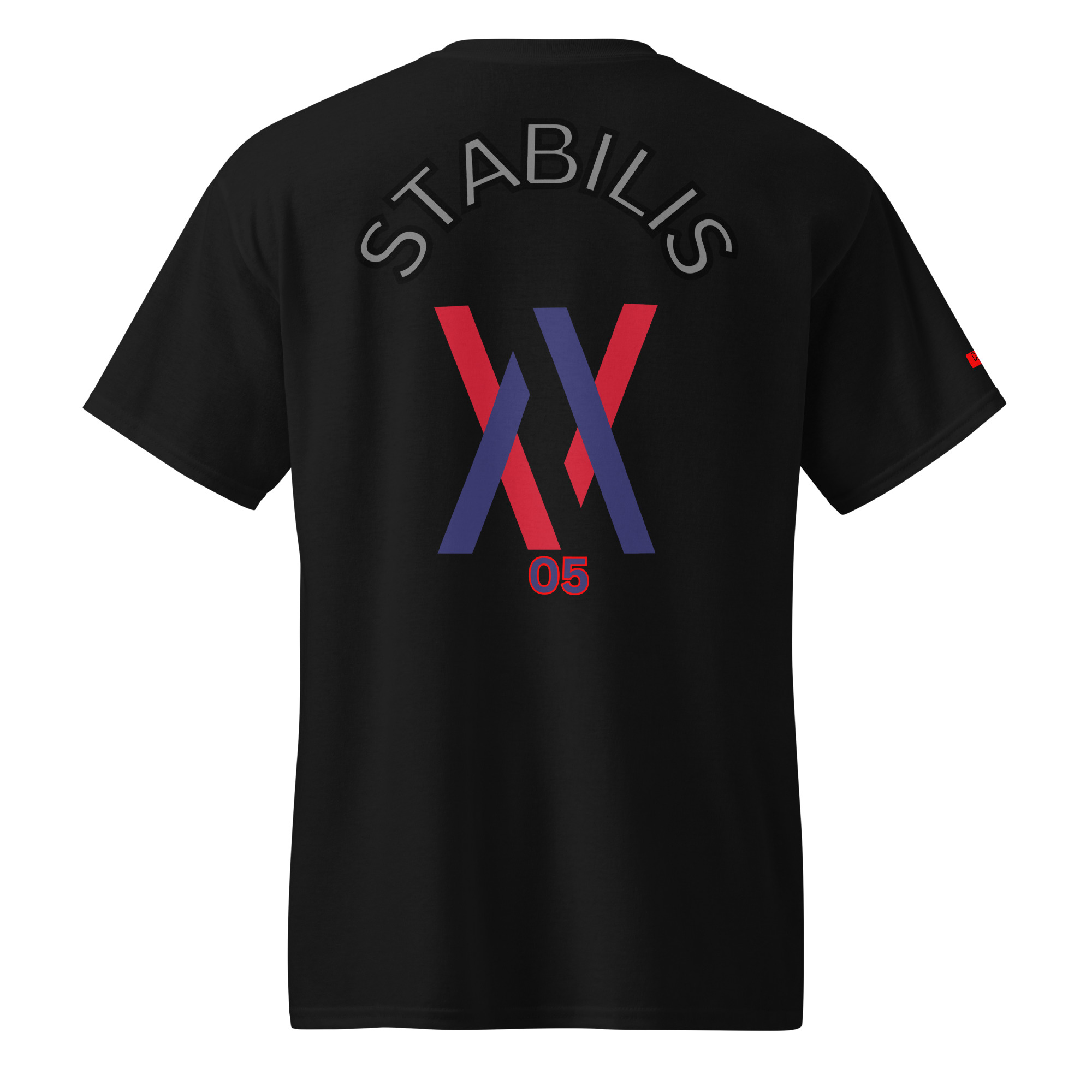 Dayf DryBlend T Shirt No 05 Stabilis Back LA – Bild 23