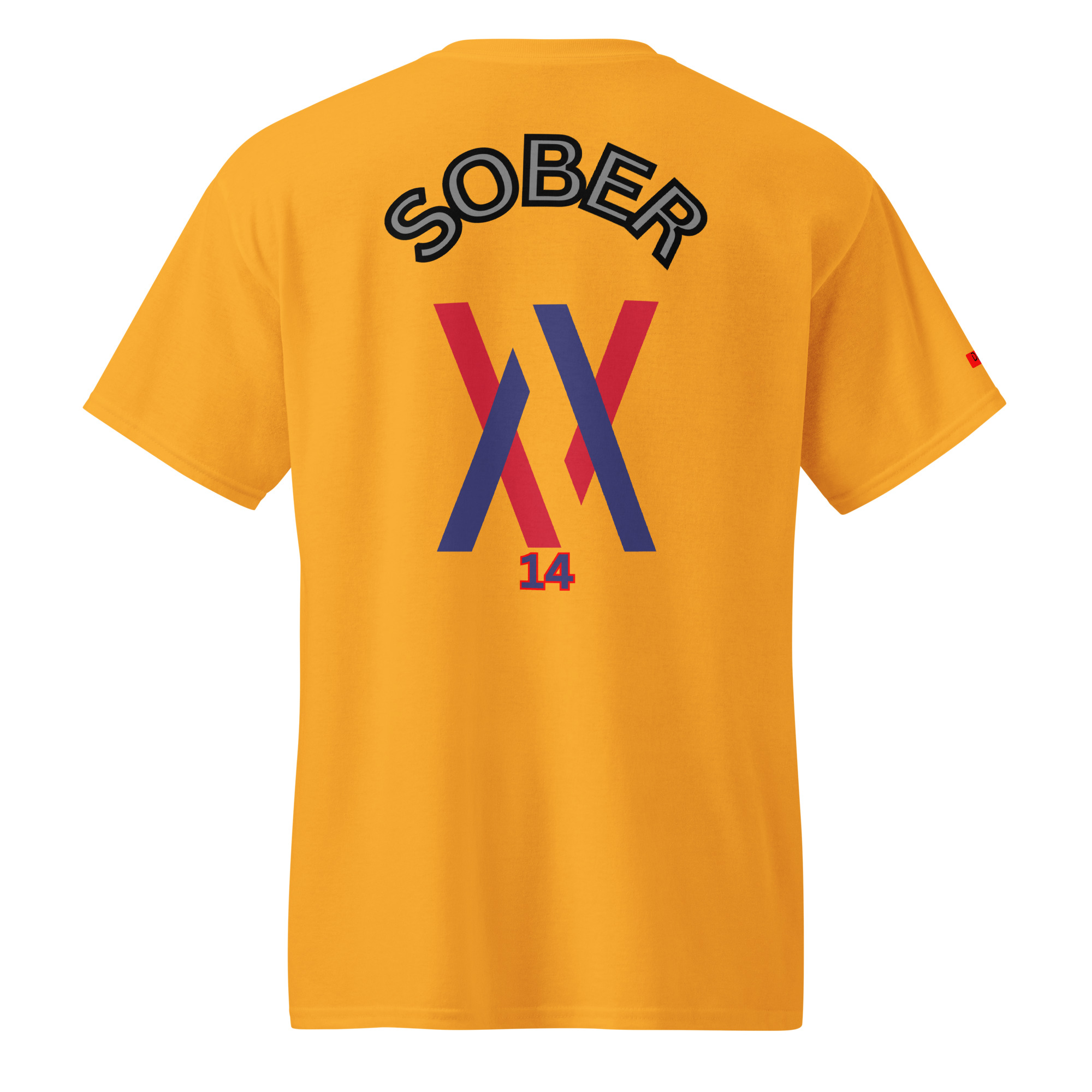 Dayf DryBlend T Shirt No 14 Sober Back – Bild 16