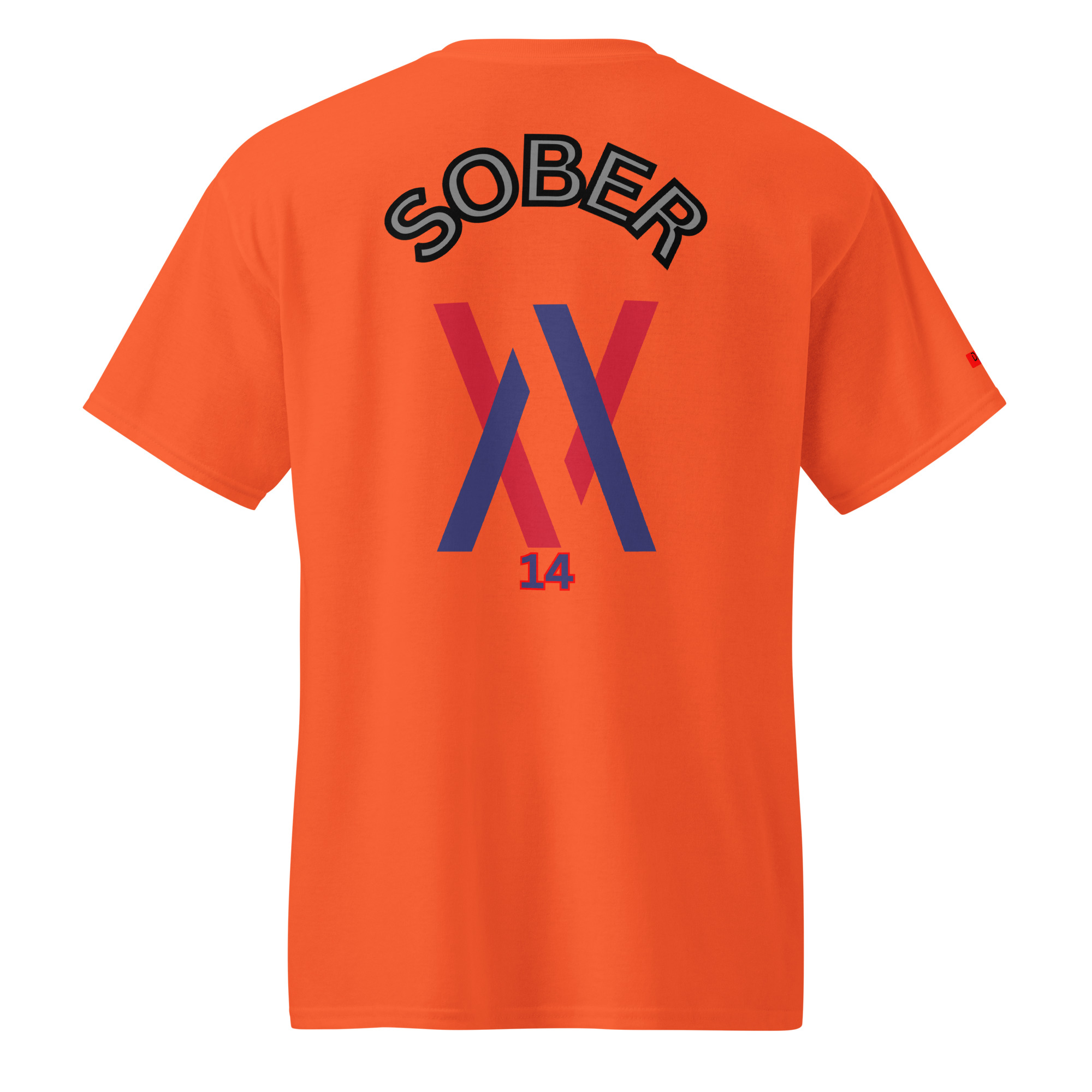 Dayf DryBlend T Shirt No 14 Sober Back – Bild 17