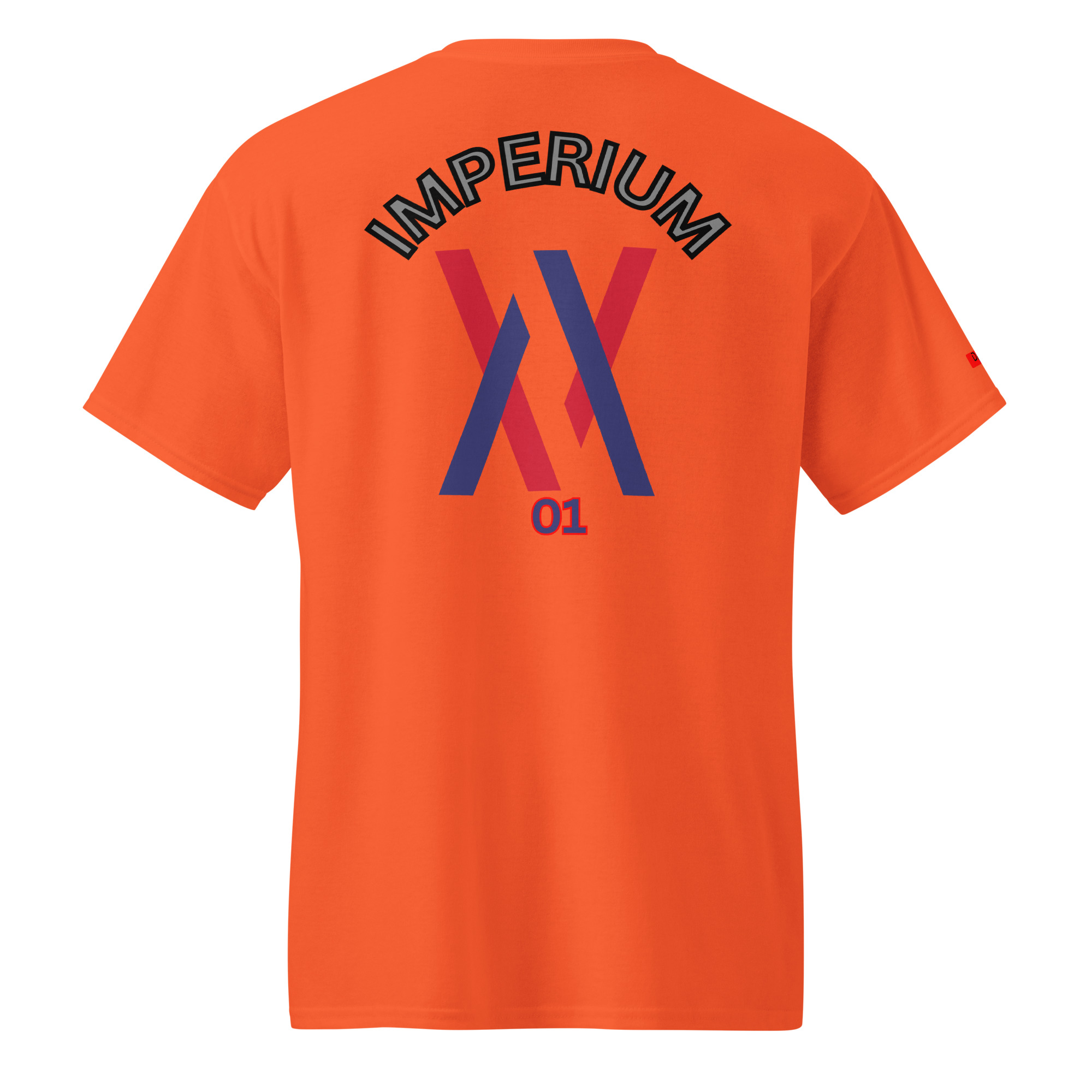 Dayf DryBlend T Shirt No 01 Imperium Back – Bild 17