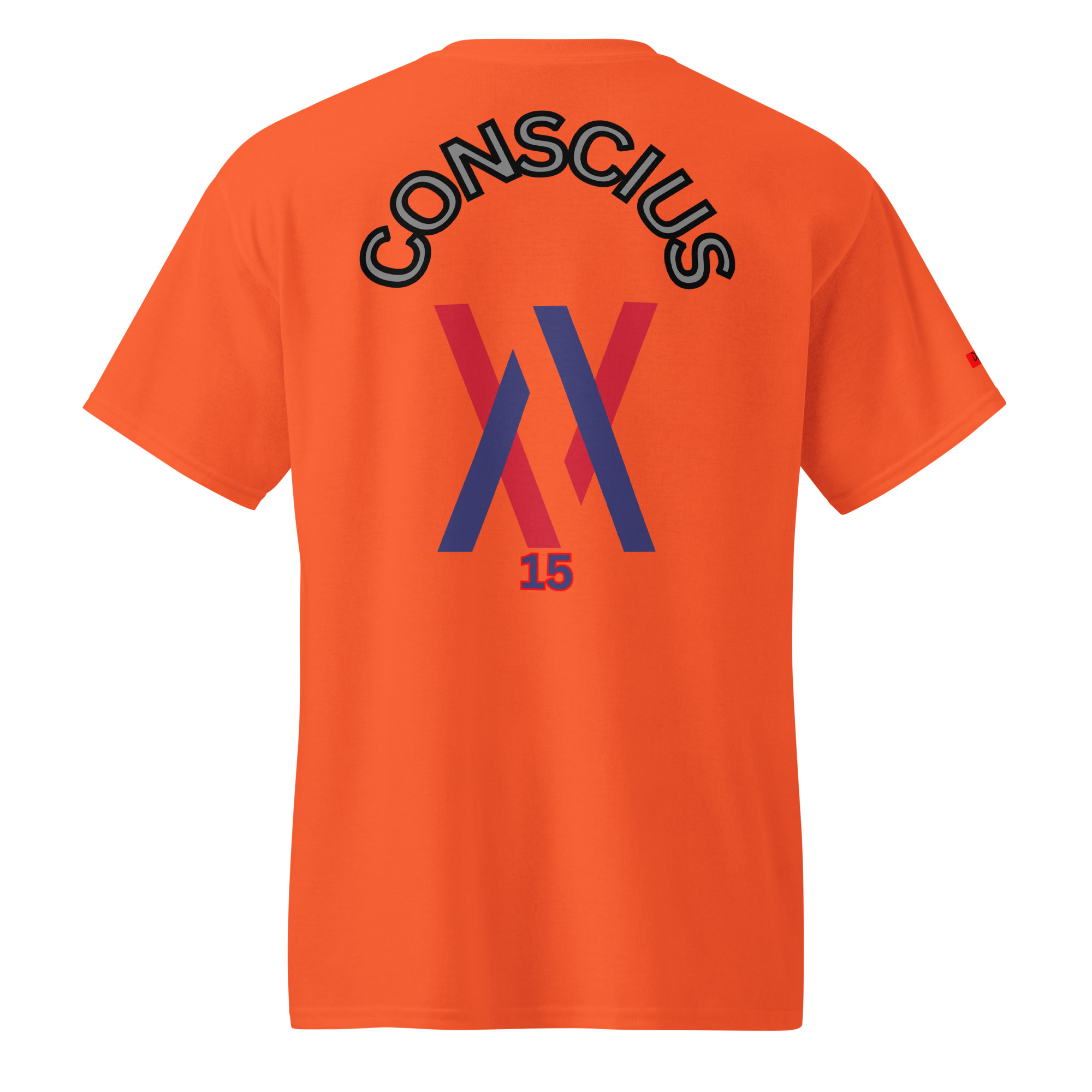 Dayf DryBlend T Shirt No 15 Conscius Back LA – Bild 17