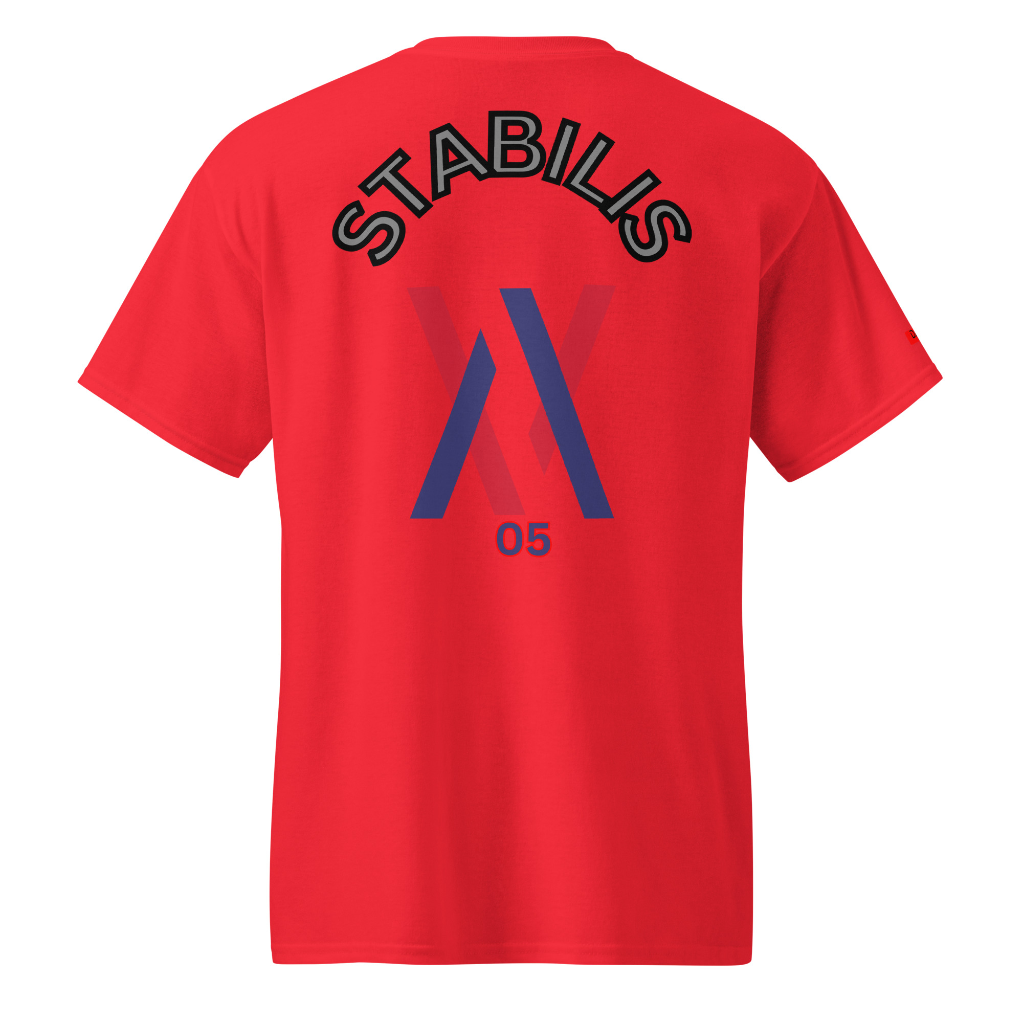 Dayf DryBlend T Shirt No 05 Stabilis Back LA – Bild 19