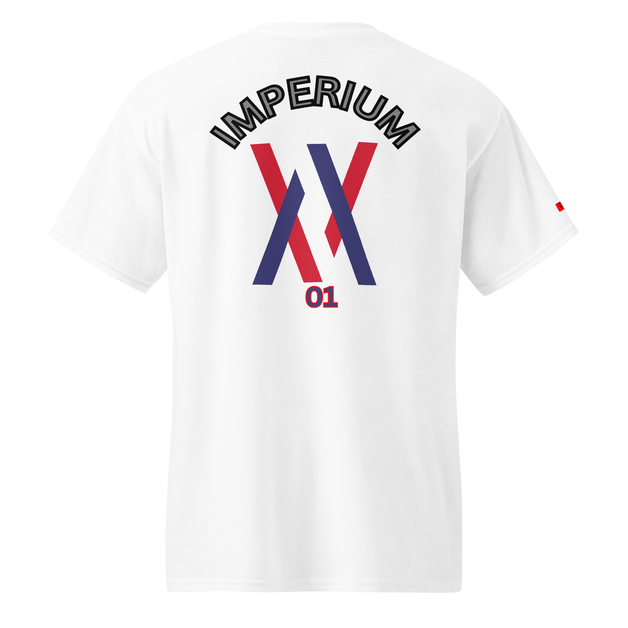 Dayf DryBlend T Shirt No 01 Imperium Back – Bild 13