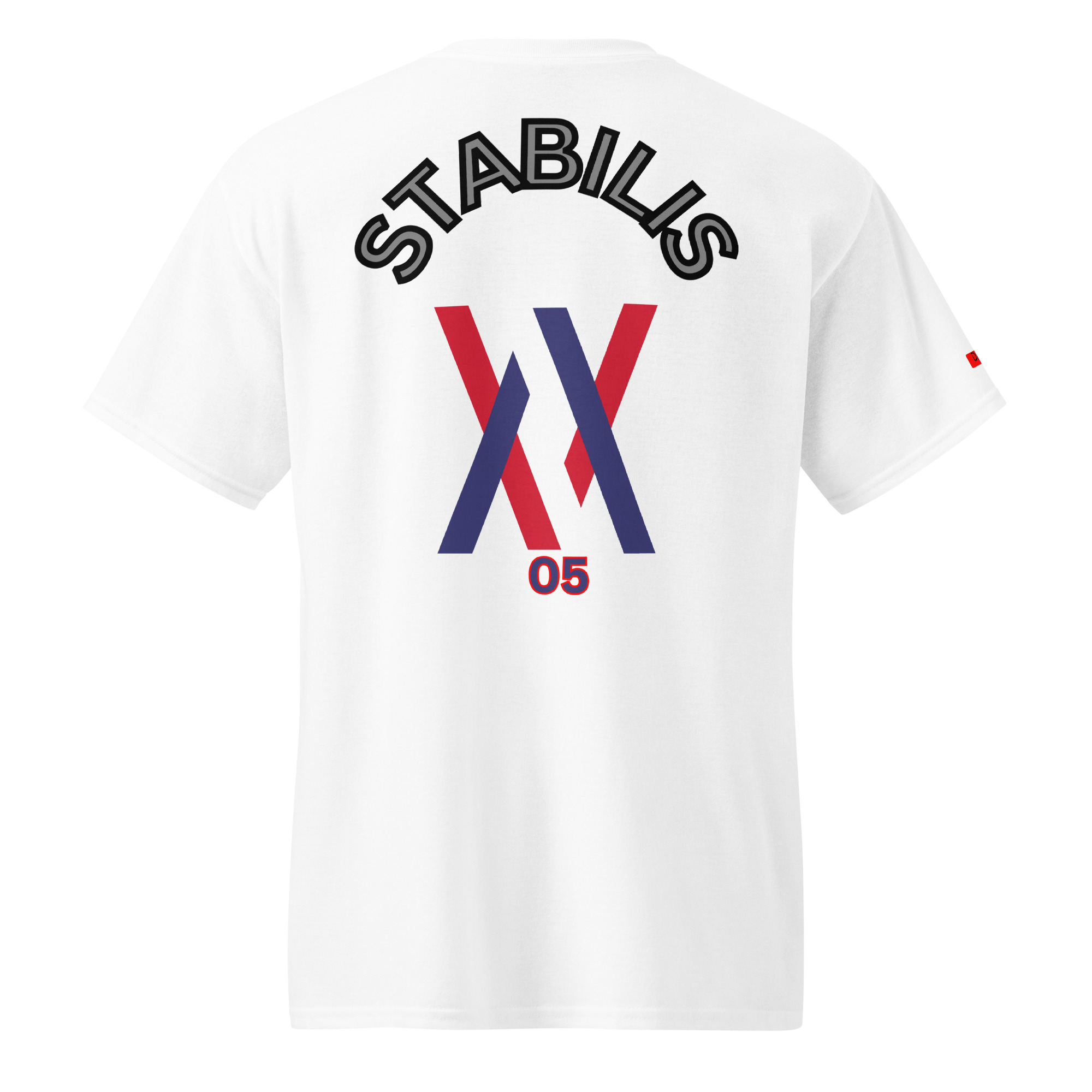 Dayf DryBlend T Shirt No 05 Stabilis Back LA – Bild 13