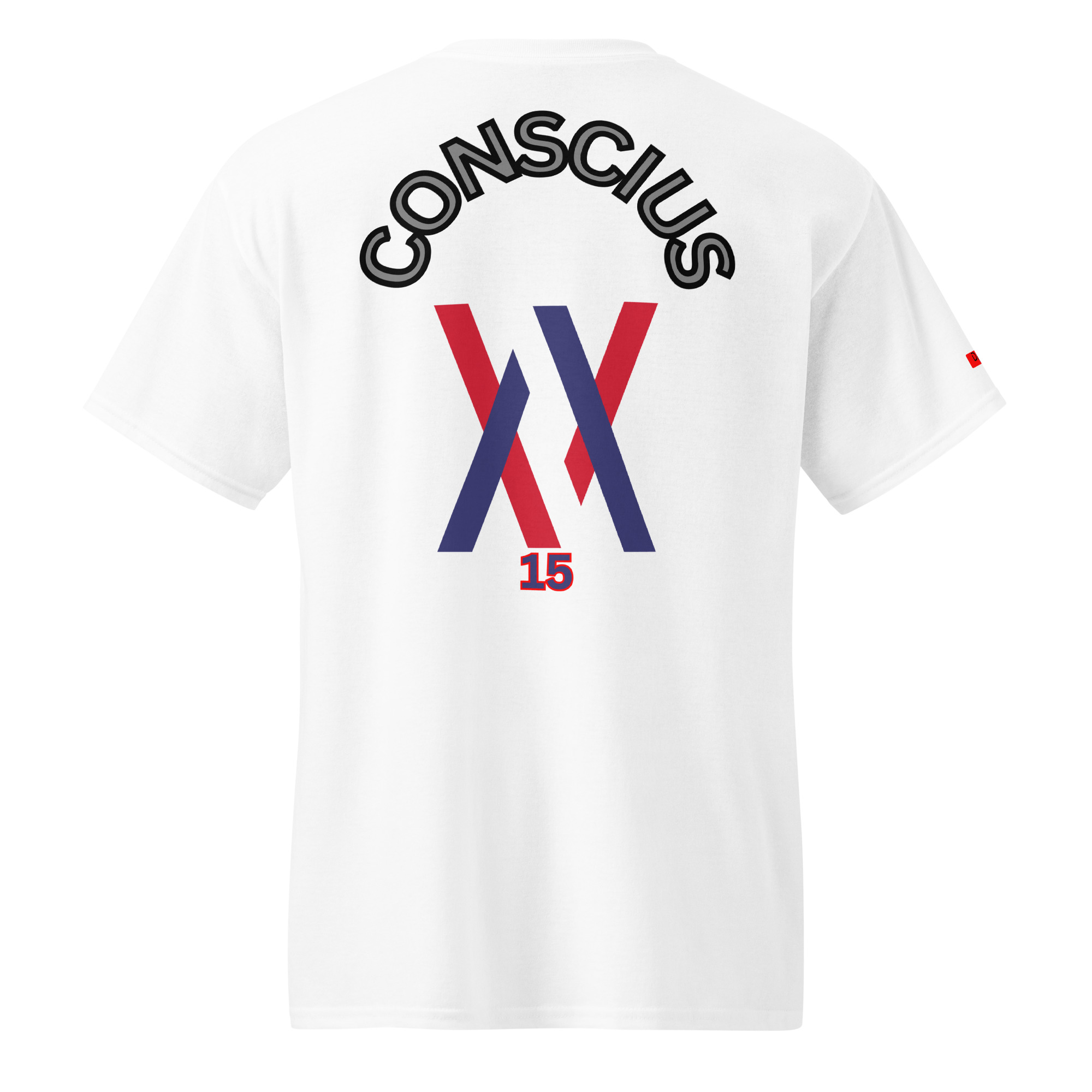 Dayf DryBlend T Shirt No 15 Conscius Back LA – Bild 13