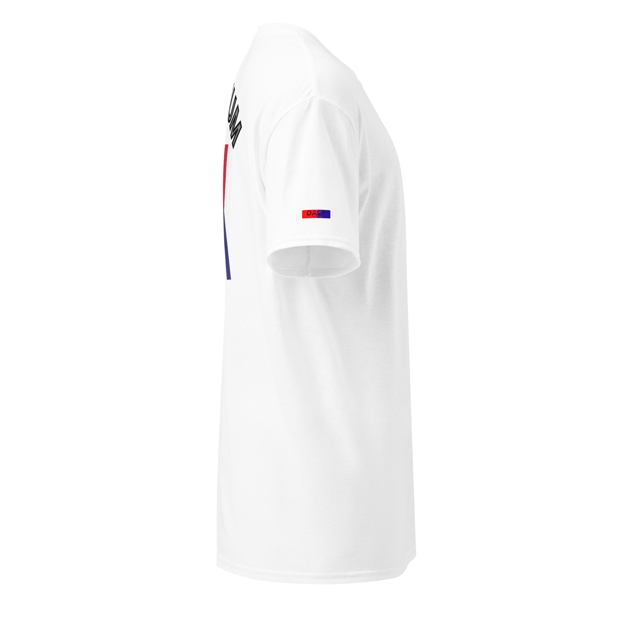 Dayf DryBlend T Shirt No 01 Imperium Back – Bild 35